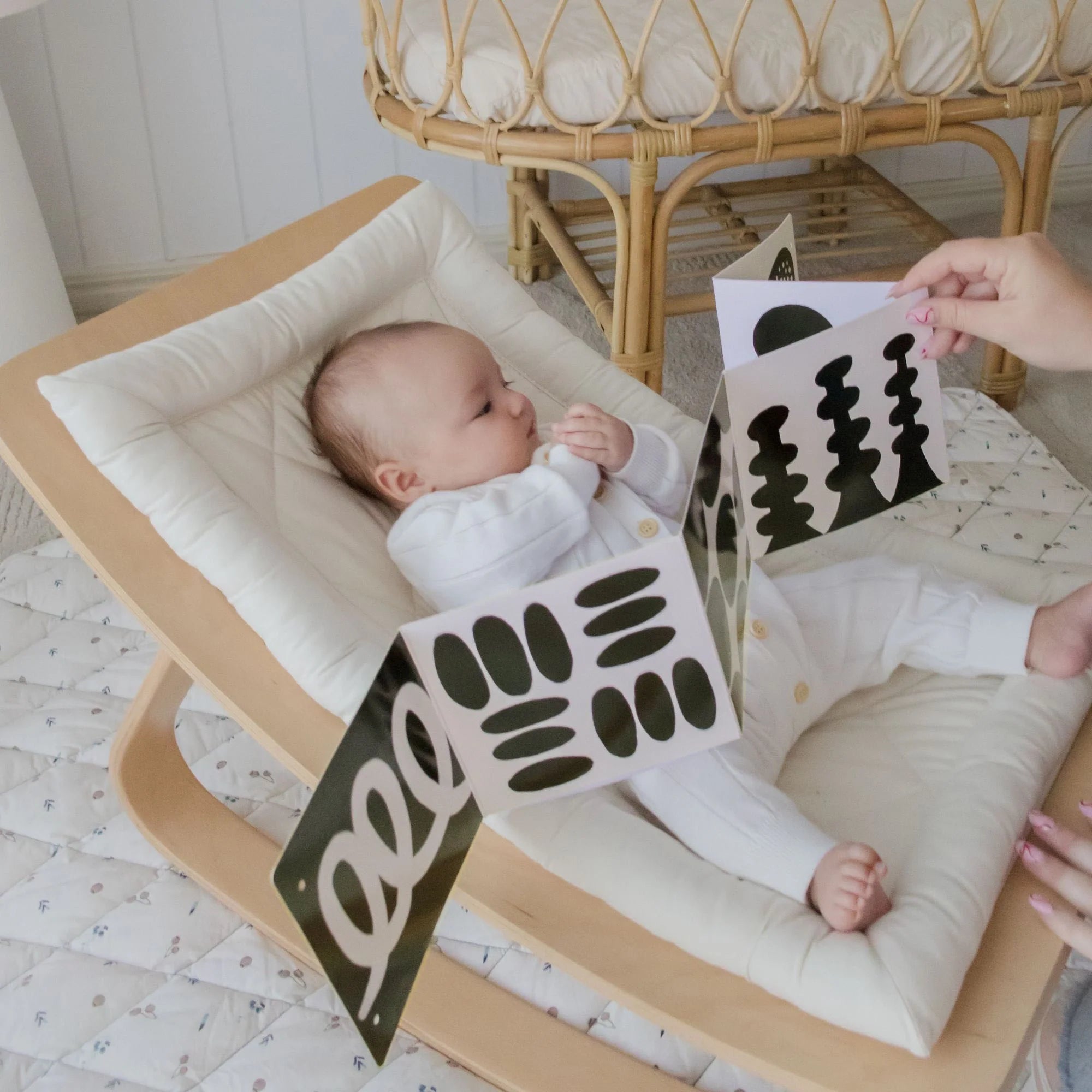 Tiny Land® Montessori Toys for Newborns (0–3 Months)